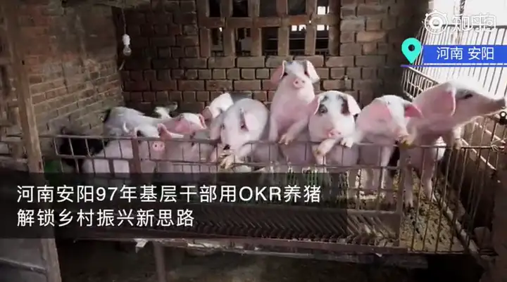 OKR 在基层治理中的创新应用：以乡村养殖业管理为例